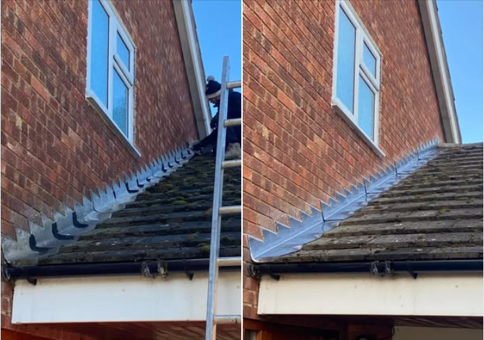 Your Complete Guide to Roof Maintenance